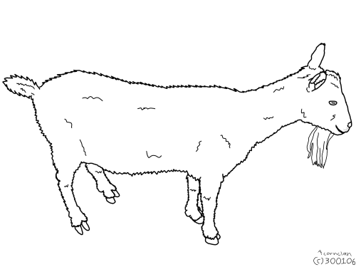 b3IG7.png
