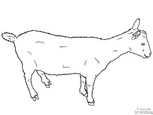 b3IGv.png