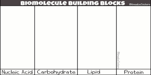 7 biomolecules gif v2 orig ezgif.com resize