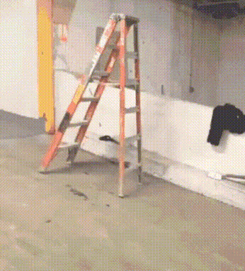 Ladder Walk