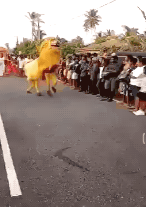 Caption THIS GIF 22 6