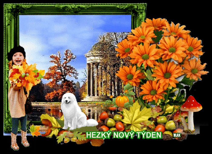 An den Beitrag angehängtes Bild: https://s12.gifyu.com/images/b3QDk.gif