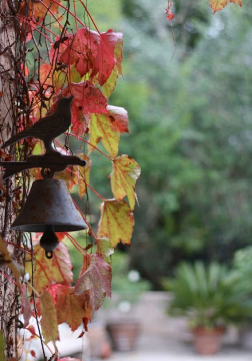 Snímek obrazovky 2025 11 01 093945