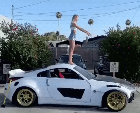 Almost Dead 10 31 25 GIF 66 22