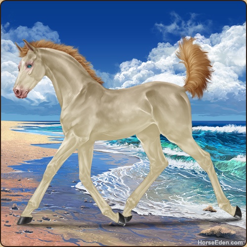 ƎF Nocturne WWW prl