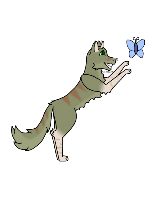 b3aXv.png