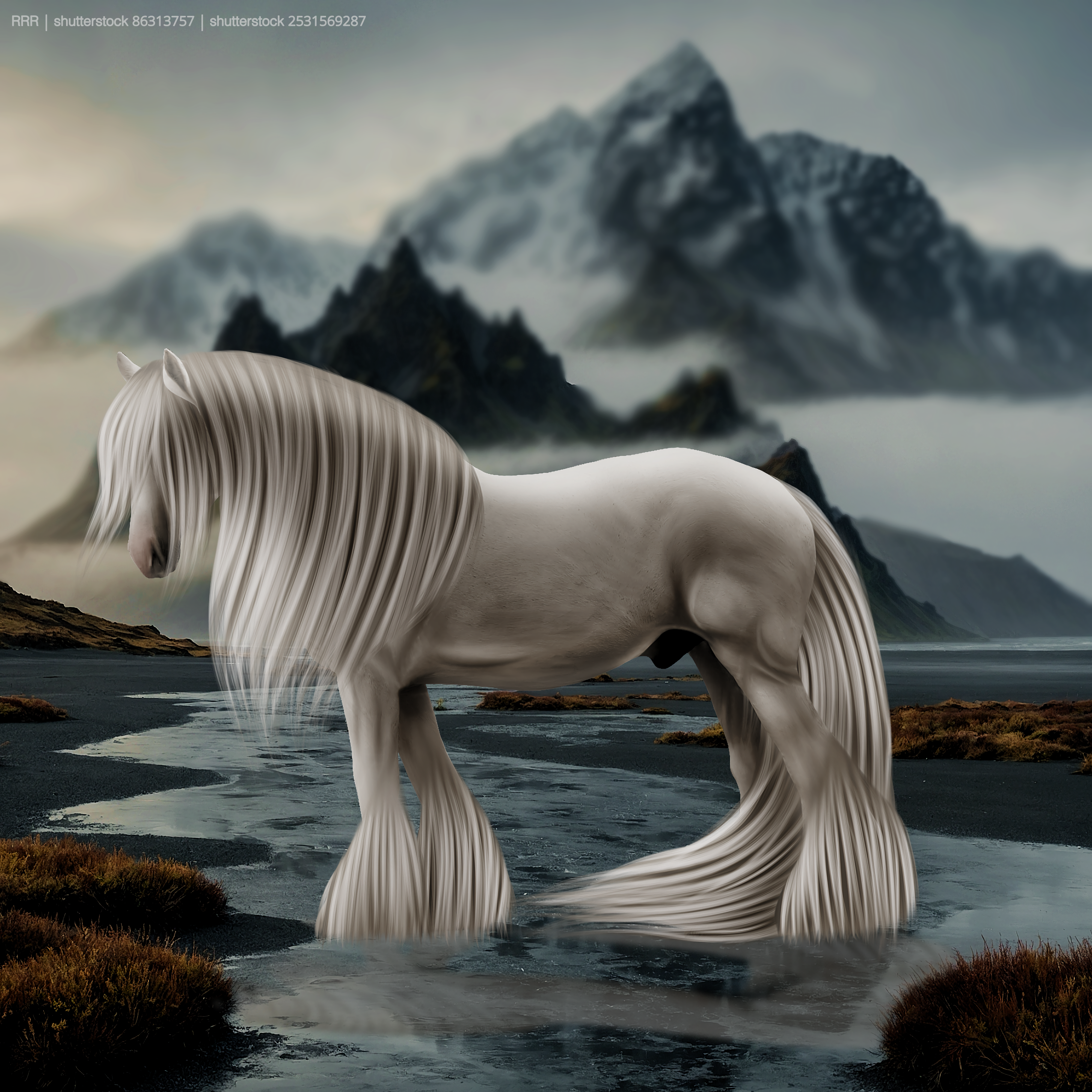 Untitled59 20251103005352