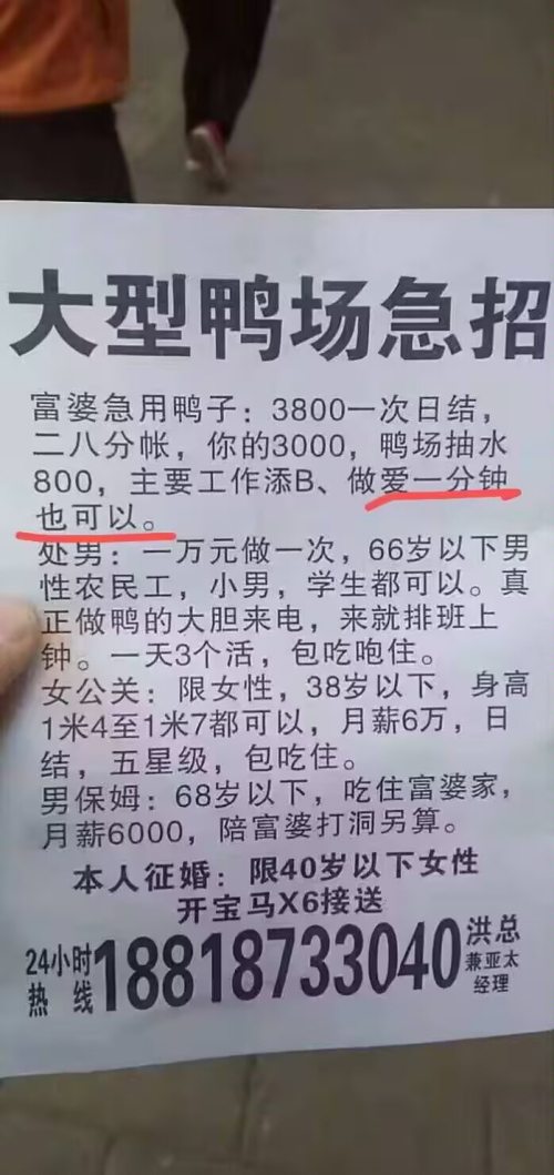 PNG影像 9
