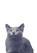 6ERTQNUIQTFILQLQHOP4BOB4VTUOMQUY
