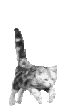 4GKVWAKP4CH6X7MMDH4H3QV5ZXIAWSOY