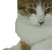 W5LYABHSVIU5BSVK7EM64VK74EQTKOUW