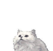 CFOLQCEES2HPJNSQKKZJC6DAWQFYU6R2