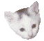GH365M7YYOMLHHADCBFGVWIKAVTIHYBJ