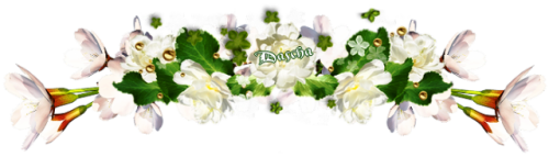 1.linka bílá s růž vr