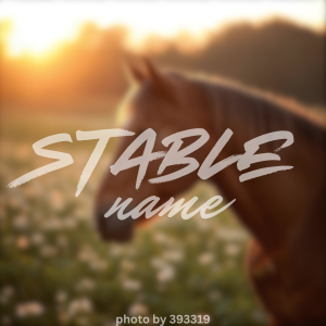 Alsike Equestrian (14)