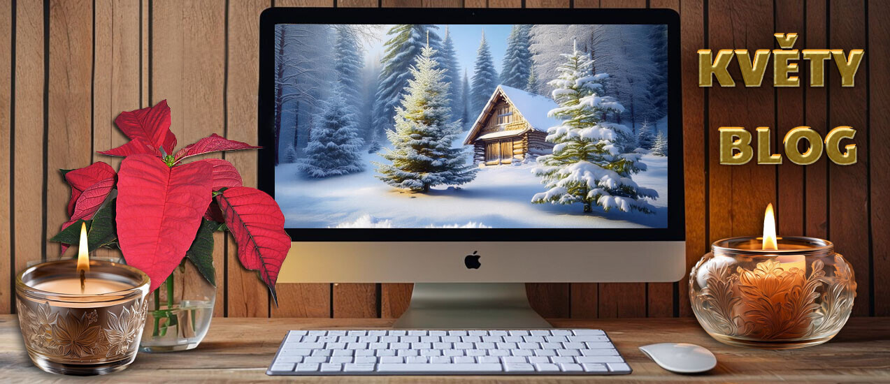 Květy blog