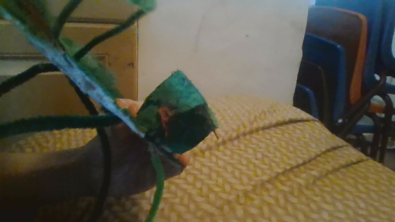 WIN 20251122 13 00 34 Pro