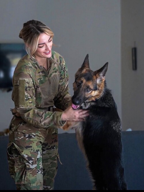 580565183 18535260415016010 3744205691527719387 n