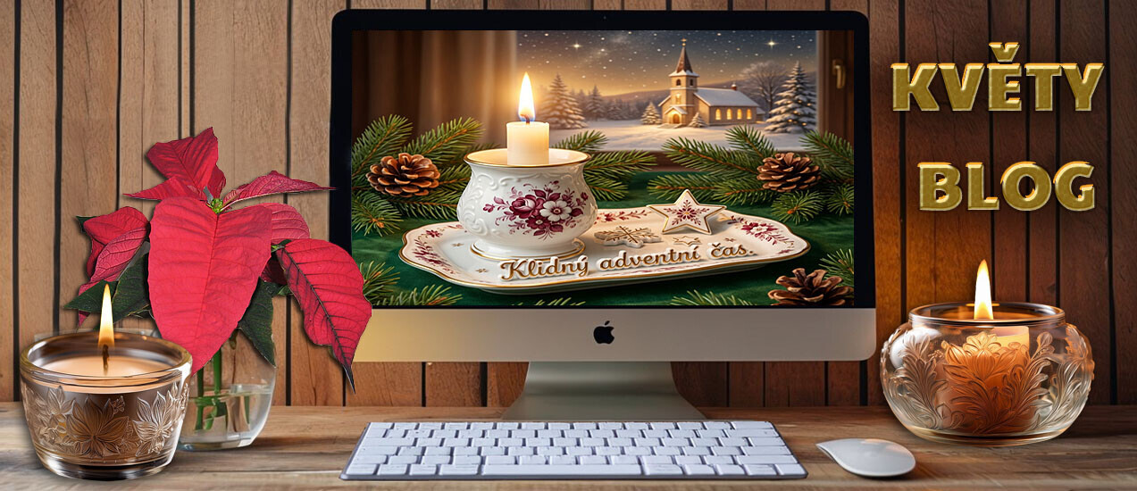 Květy blog