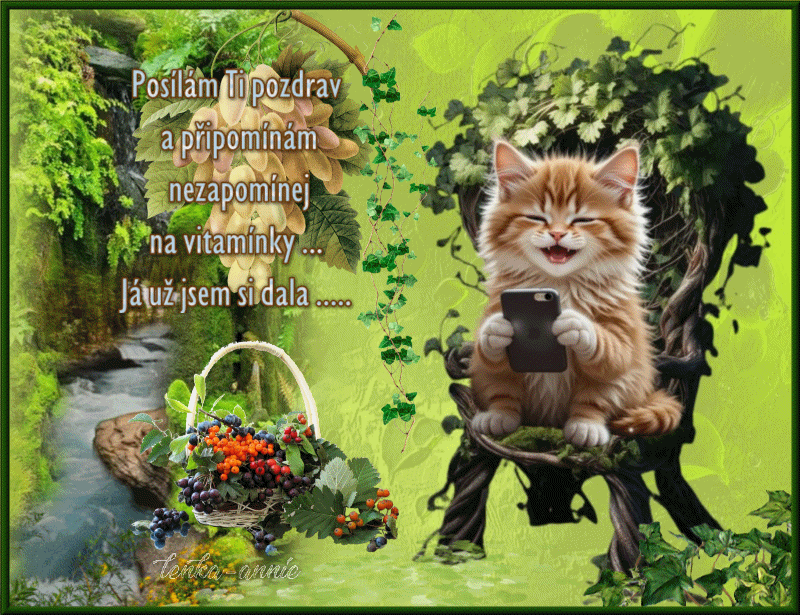 Posílám Ti pozdrav...