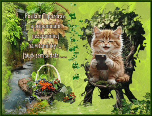 Posílám Ti pozdrav...