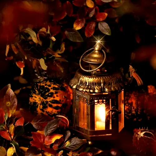 tumblr 2e6c3be71a2d5b28a75458ce2380009f fabe498a 1280