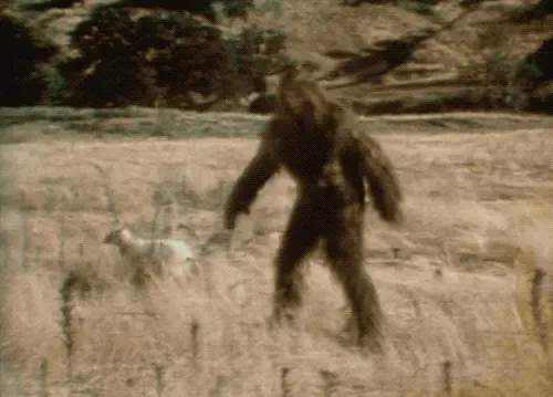 tumblr 3d97ac13c91c36643353c8bd0c17d081 b0400a4c 1280