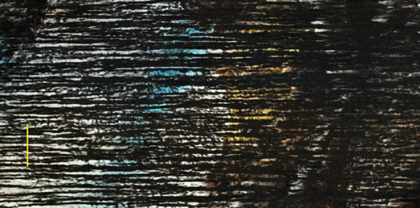 b9Y4f.gif