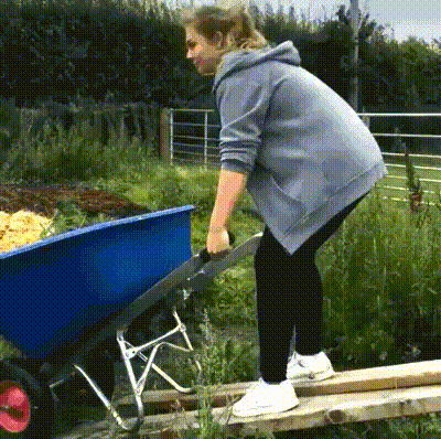 UN Expected 11 24 25 GIF 77 2