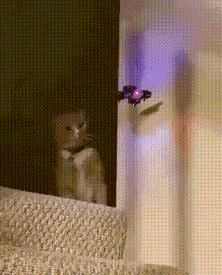 UN Expected 11 24 25 GIF 77 16