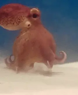 tumblr 9ff4fecb4b32321e2b8c98104961a206 f94a6065 400