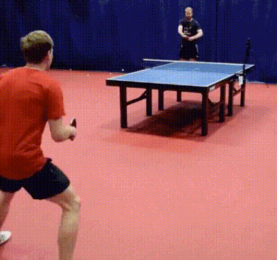 WINs 11 14 25 GIFs 22 6
