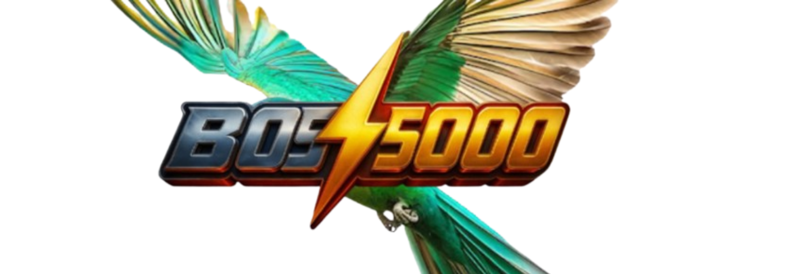 BOS5000