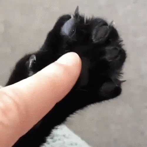 tumblr 430f7344b148d0874f994252cc064f6b 75f268a0 500