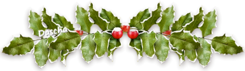 1.L zel listy červ bob vr