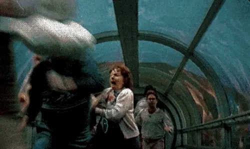 tumblr 52141af4da7d3c8923548b5fc56f307c 286a1cd3 540