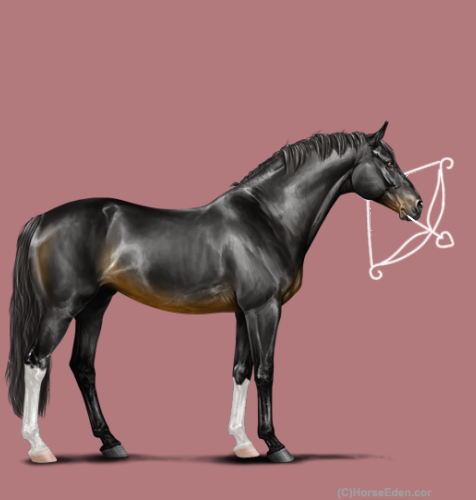 f2u lineart dressage16