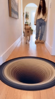 ezgif 3637880a46b7914c