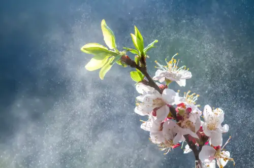 2d822b76 5298 4854 9d41 6fb28eb40e64