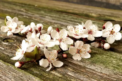 9fd3ac28 56d8 4238 b154 a05e34b7945c