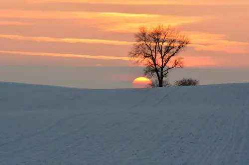 4613c98d 0411 42f9 bab3 929aaef410f2