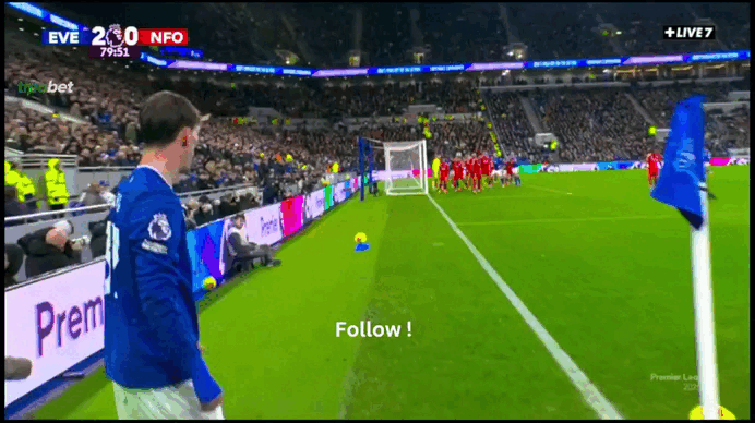 Everton 3 0 Nottingham