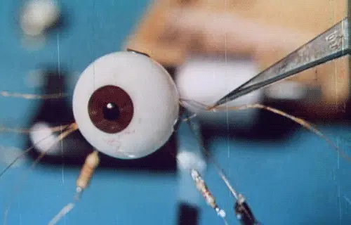 tumblr d5192dee0fe1f7665d247d94138d1538 f49cd684 500