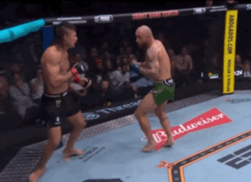 bhL1v.gif