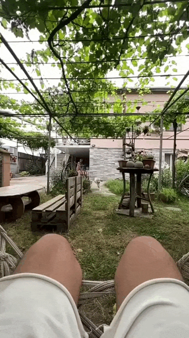 bhLqT.gif