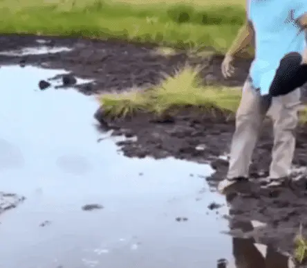 tumblr 7c32127ff75db04224ce4ca57d7473e0 5f66cfe0 500