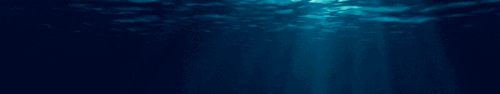 bhXdn.gif