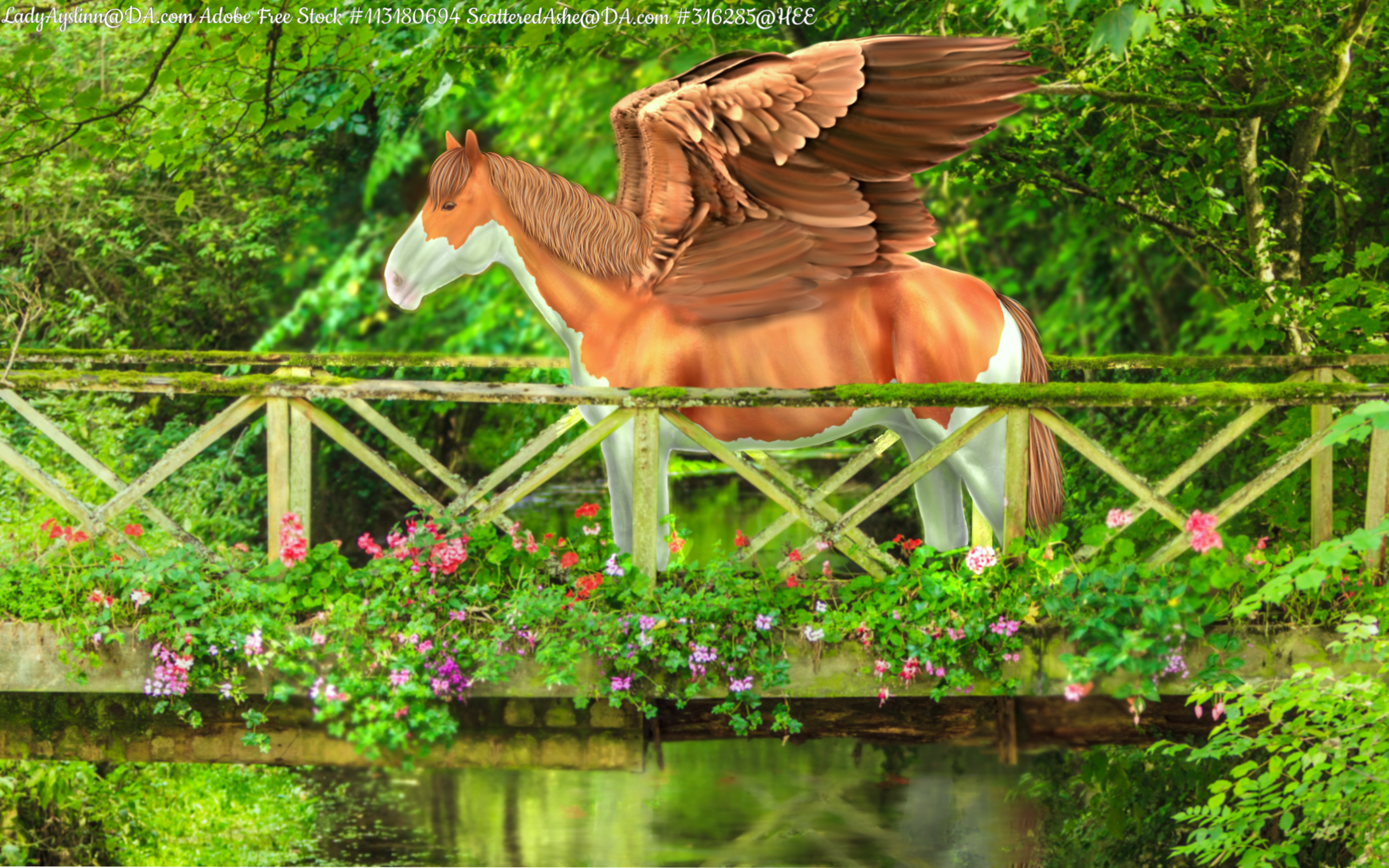 Untitled9 20260112151335