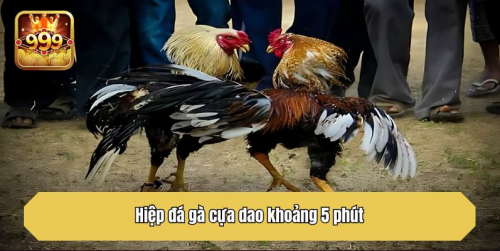 bhuSA.png