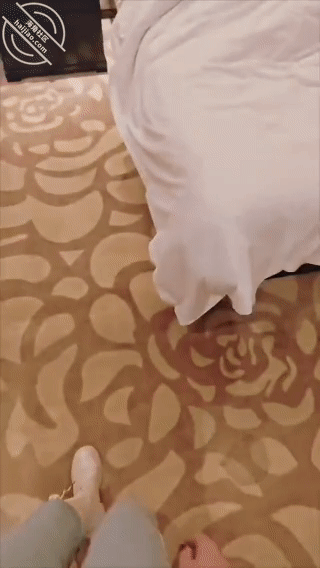 GIF Image